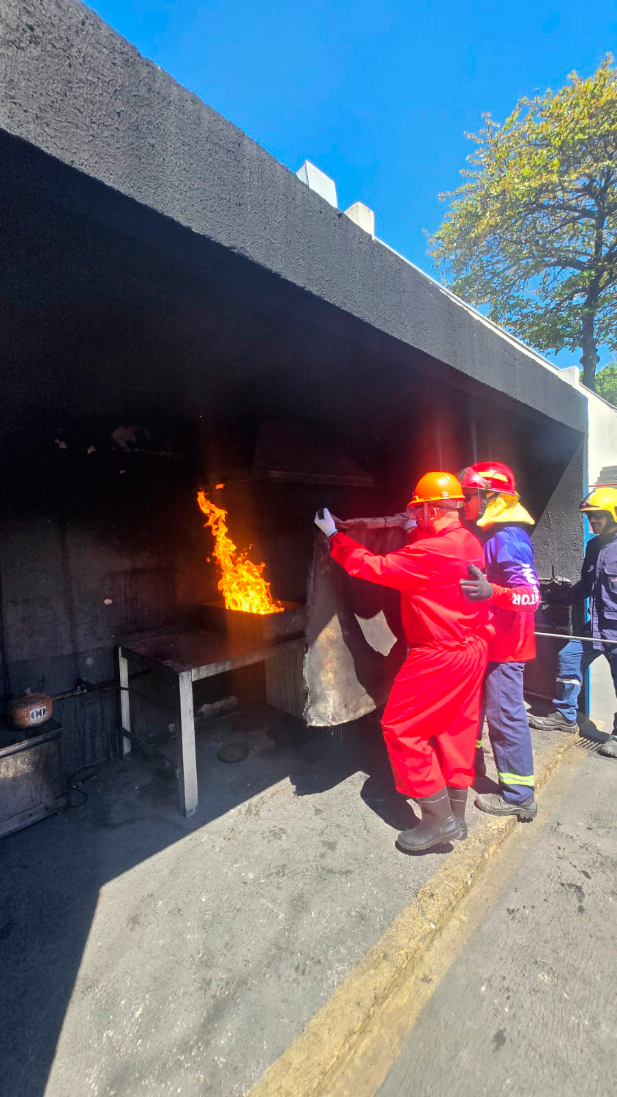 Vitta Treinamentos (6)